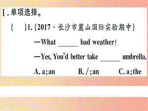 （湖南專版）八年級英語上冊 Unit 1 Where did you go on vacation Self Check新人教 新目標(biāo)版.ppt