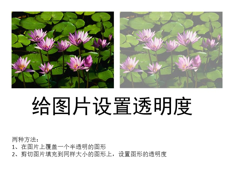 如何设置图片透明度.ppt_第1页