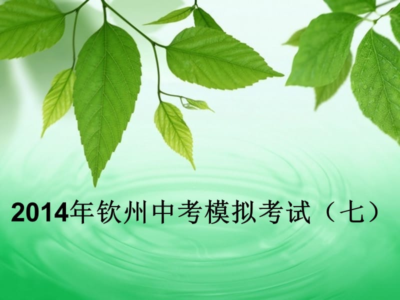 初三数学总复习-模拟考试.ppt_第1页