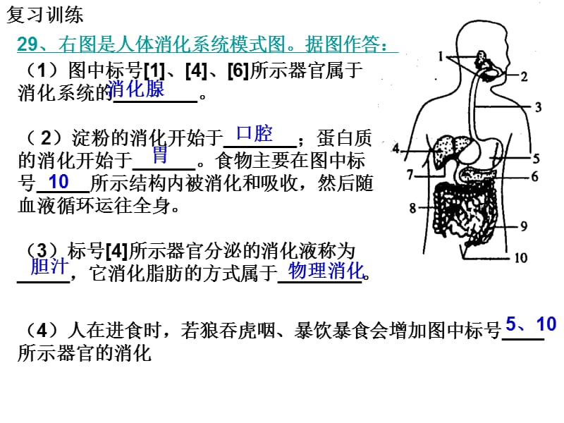 人的生活需要空气复习.ppt_第1页