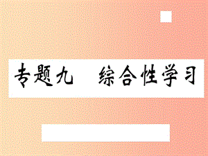 （武漢專用）2019年八年級語文上冊 專題九 綜合性學(xué)習(xí)習(xí)題課件 新人教版.ppt