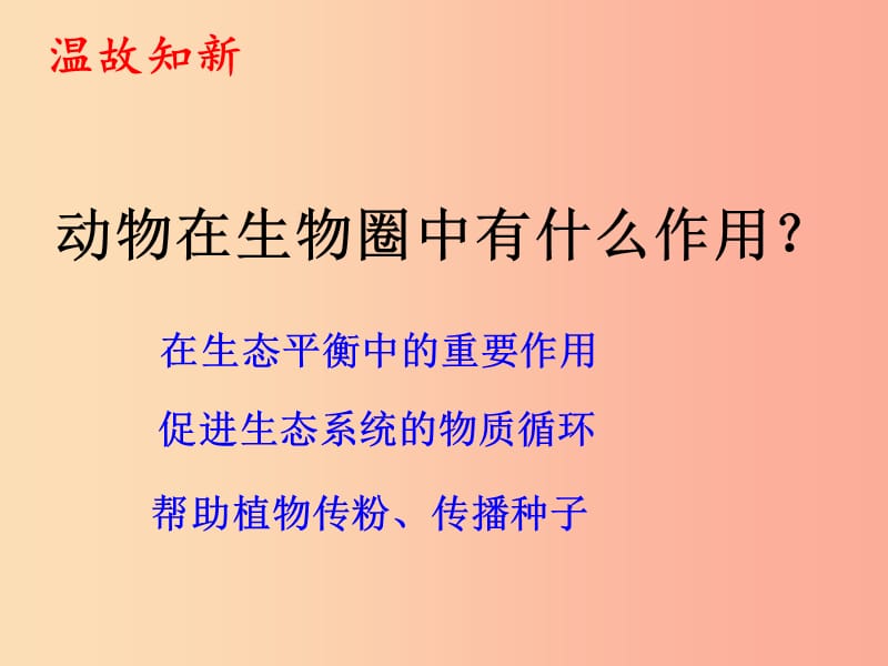 内蒙古八年级生物上册 5.4.4细菌和真菌在自然界中的作用课件 新人教版.ppt_第2页