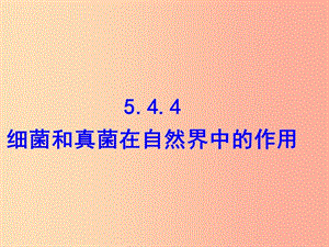 內(nèi)蒙古八年級生物上冊 5.4.4細菌和真菌在自然界中的作用課件 新人教版.ppt