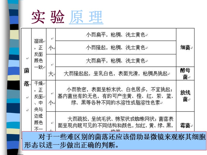 实验4微生物菌落的观察.ppt_第3页