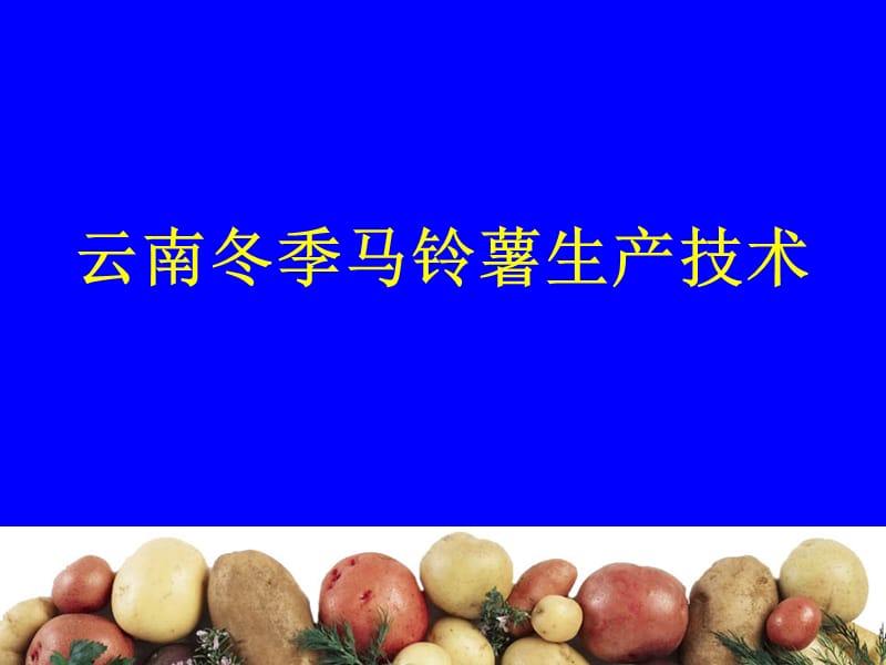 云南冬季马铃薯栽培技术资料.ppt_第1页