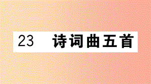 （江西專用）九年級語文下冊 第六單元 23 詩詞曲五首習題課件 新人教版.ppt