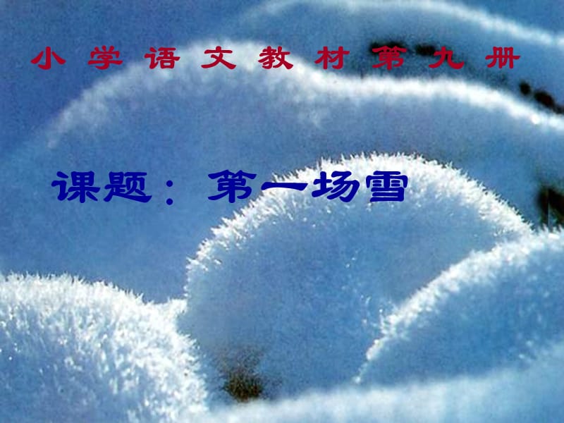 人教版小学五年级语文第一场雪.ppt_第1页