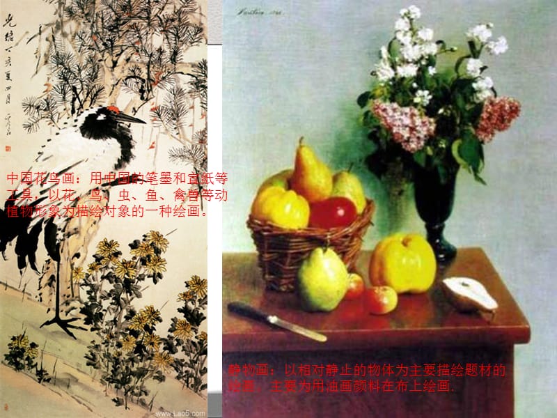 中国花鸟画与西方静物画.ppt_第2页