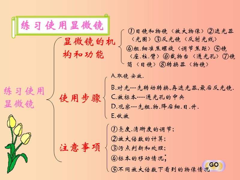 陜西省七年級(jí)生物上冊(cè) 2.2多細(xì)胞生物體的結(jié)構(gòu)層次課件1 新人教版.ppt_第1頁(yè)