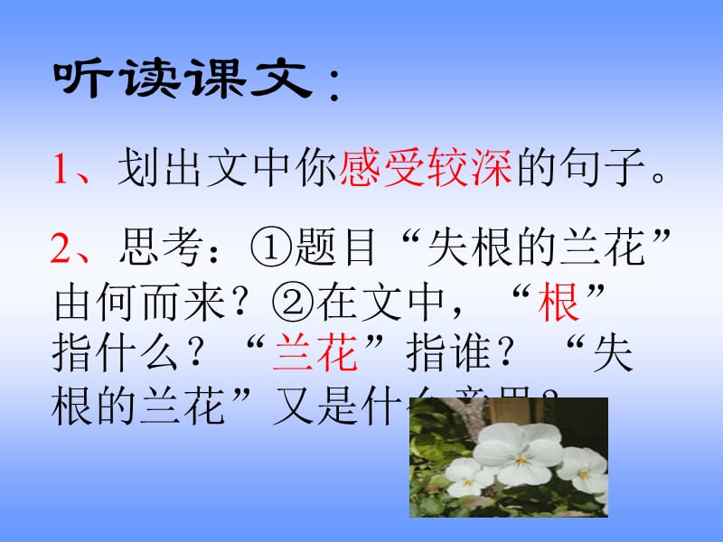 初中语文鲁教版六年级下册《失根的兰花》.ppt_第2页