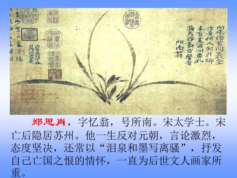 初中语文鲁教版六年级下册《失根的兰花》.ppt_第3页