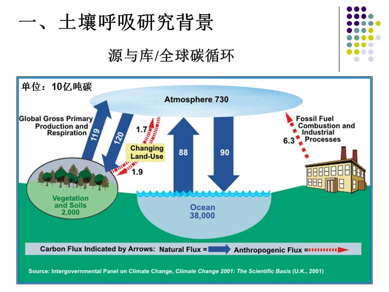 土壤碳通量测量(介绍)LML.ppt_第3页