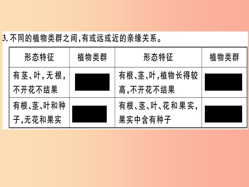 八年级生物下册 第7单元 第22章 第3节 植物的主要类群（第1课时 苔藓植物和蕨类植物）习题课件 北师大版.ppt_第2页