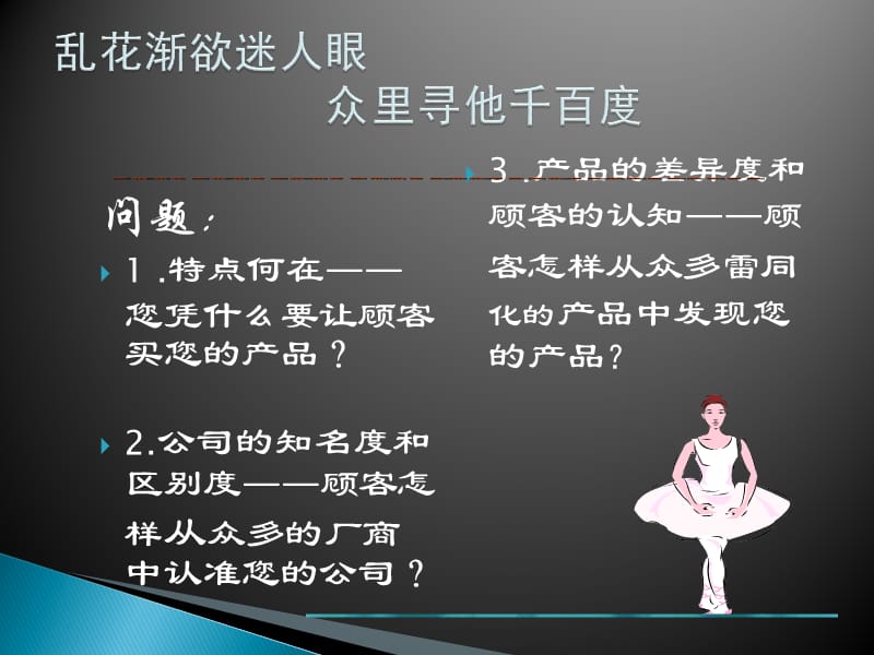 产品差异化战略资料.ppt_第2页