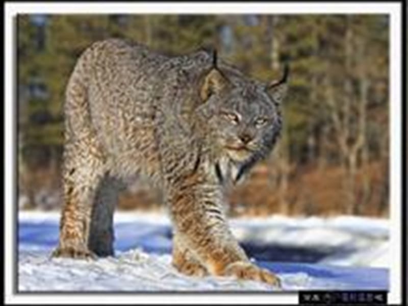 初中生物生物和生物圈课后习题.ppt_第1页