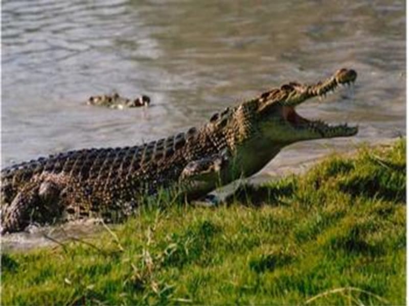 初中生物生物和生物圈课后习题.ppt_第3页