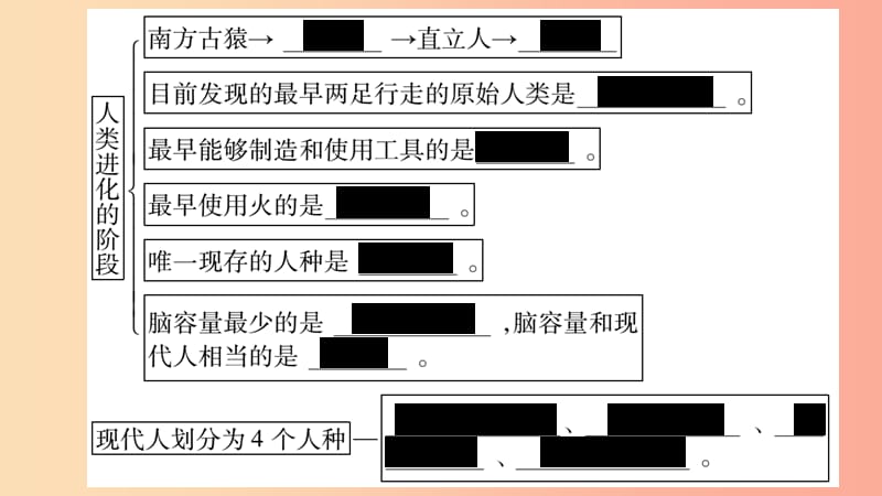 广西省玉林市2019年八年级生物下册 第七单元 第21章 第3节 人类的起源与进化课件（新版）北师大版.ppt_第3页