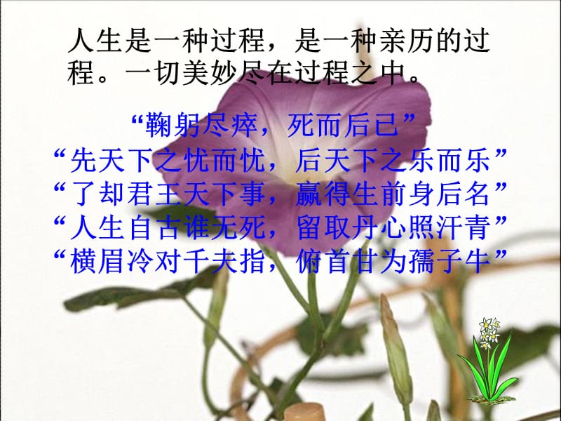 名物理学家的教育历程.ppt_第1页