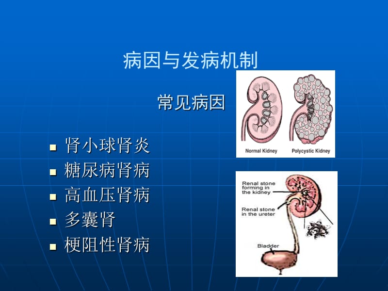 中药灌肠治疗慢性肾衰竭.ppt_第2页