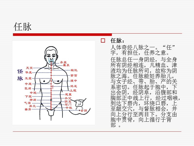 十四经脉与相对应精油.ppt_第2页