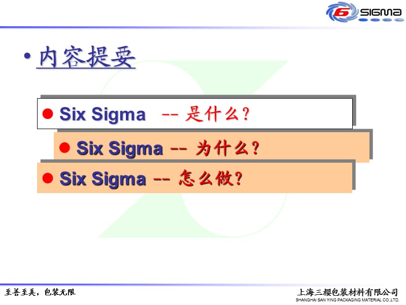 六西格玛推进计划.ppt_第2页