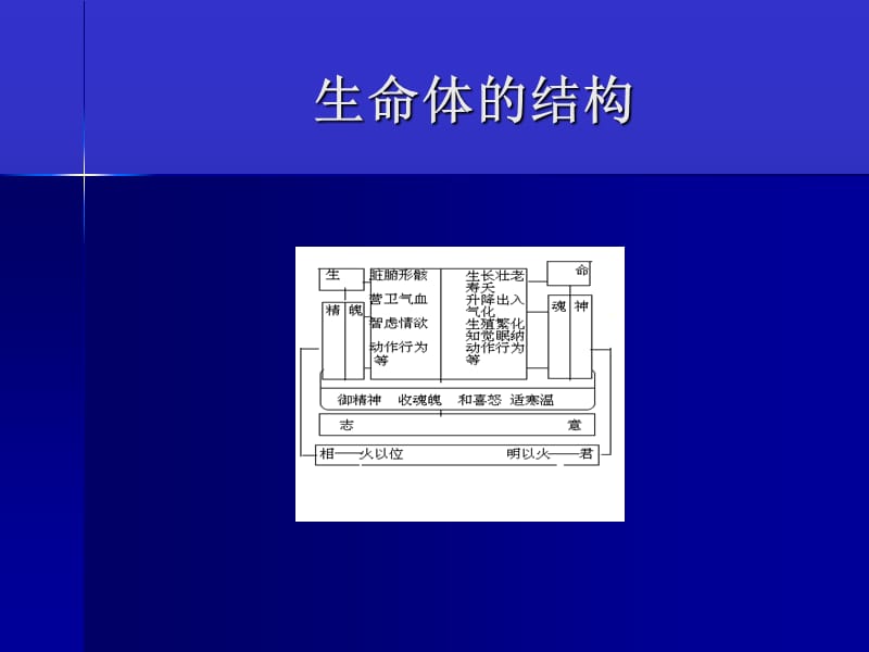 从中医学解读与外感病证相适宜的辨证方法选择与运用.ppt_第3页