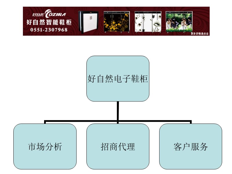 好自然电子智能鞋柜.ppt_第2页