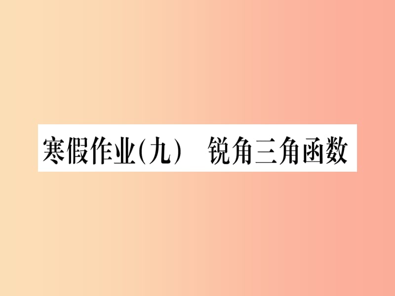 （江西专版）2019届九年级数学下册 寒假作业（九）锐角三角函数课堂导练课件（含2019中考真题） 新人教版.ppt_第1页