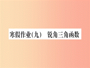 （江西專版）2019屆九年級數(shù)學(xué)下冊 寒假作業(yè)（九）銳角三角函數(shù)課堂導(dǎo)練課件（含2019中考真題） 新人教版.ppt