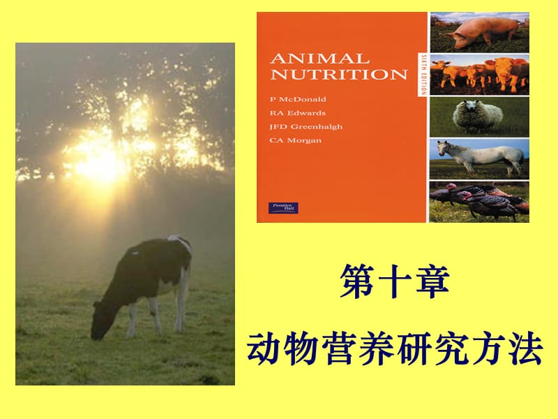 动物营养研究方法.ppt_第1页