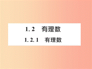 （山西專用）2019年秋七年級(jí)數(shù)學(xué)上冊 第1章 有理數(shù) 1.2 有理數(shù) 1.2.1 有理數(shù)習(xí)題課件 新人教版.ppt