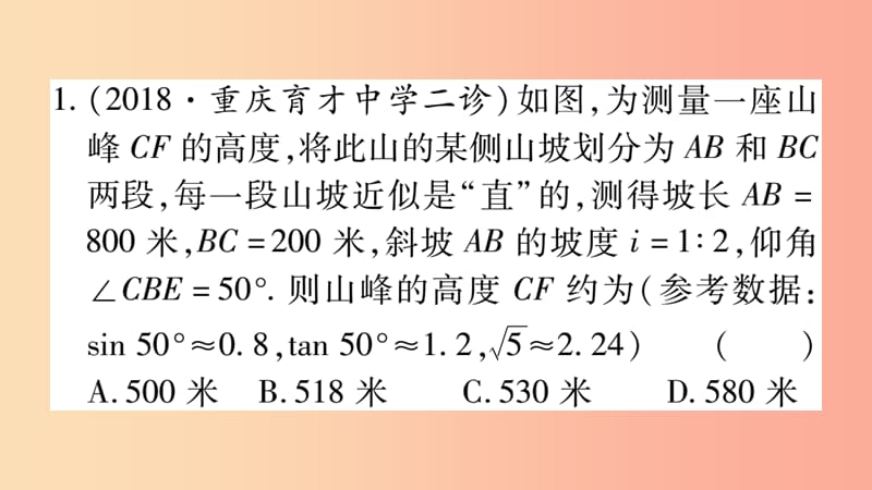 重庆市2019年中考数学复习第二轮中档题突破专项突破五解直角三角形的实际应用精练课件.ppt_第2页