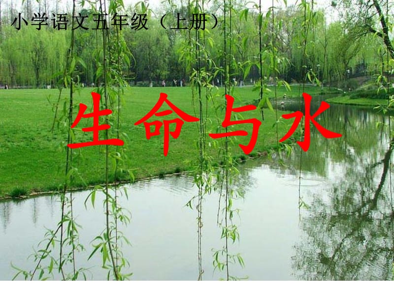 北师大版五年级语文上册《生命与水》课件(公开课).ppt_第1页