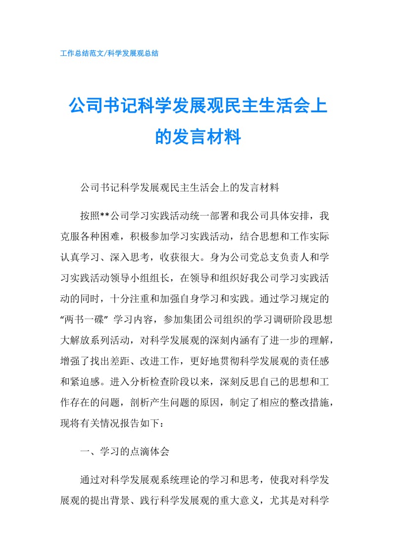 公司书记科学发展观民主生活会上的发言材料.doc_第1页