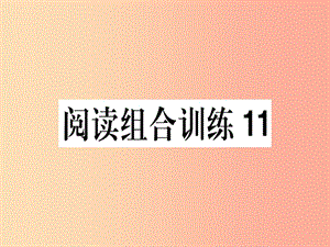 （江西專版）2019春八年級(jí)語(yǔ)文下冊(cè) 閱讀組合訓(xùn)練11課件 新人教版.ppt