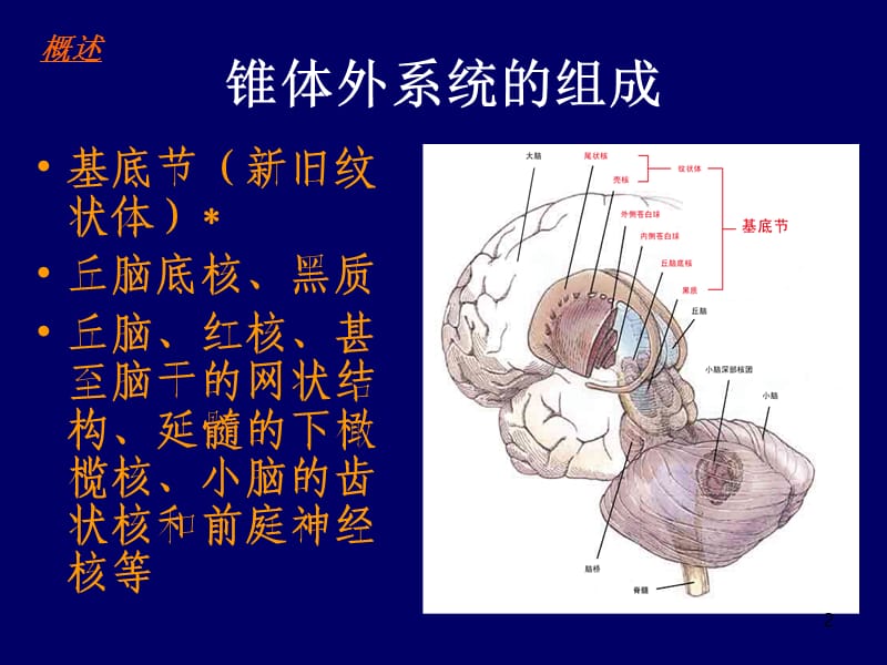 运动障碍ppt课件_第2页