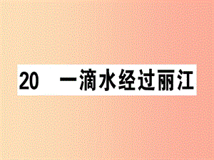 （安徽專版）2019春八年級(jí)語(yǔ)文下冊(cè) 第五單元 20 一滴水經(jīng)過(guò)麗江習(xí)題課件 新人教版.ppt