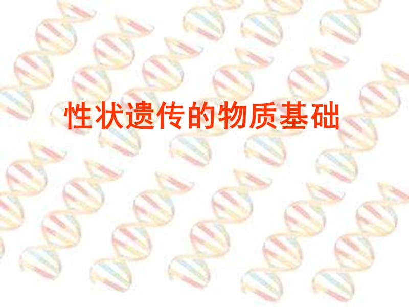 北师大版生物八上第二节《性状遗传的物质基础》.ppt_第1页