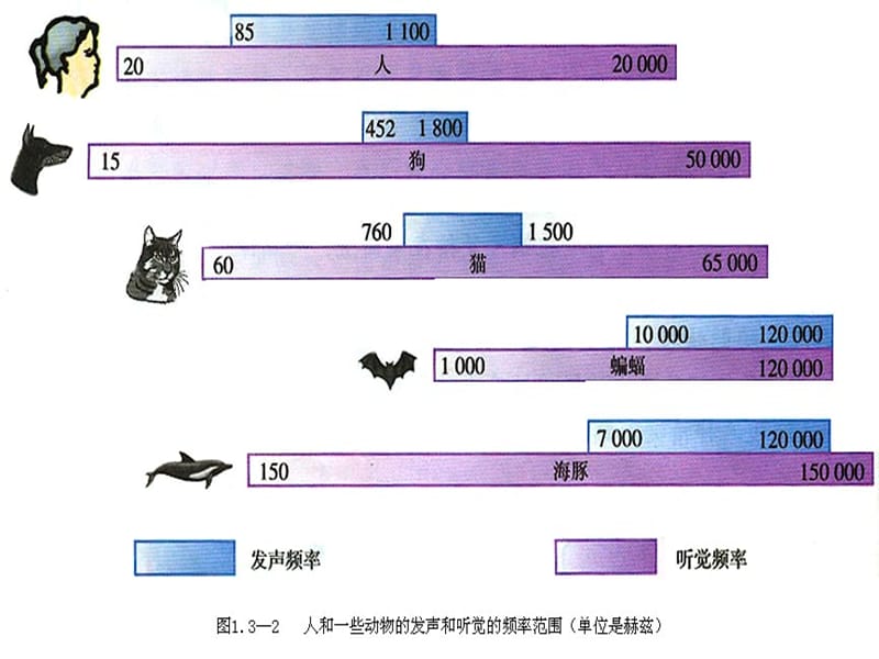 2019年八年级物理上册 1.4《人耳听不见的声音》课件3（新版）苏科版.ppt_第3页