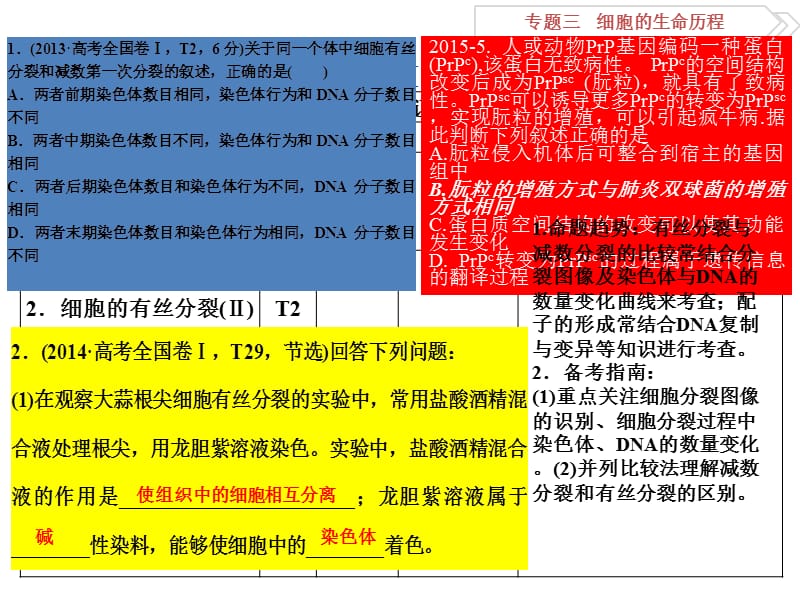 二轮专题三细胞的生命历程.ppt_第2页