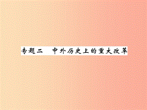 （百色專版）2019屆中考歷史總復習 第二編 熱點專題突破 專題2 中外歷史上的重大改革課件.ppt