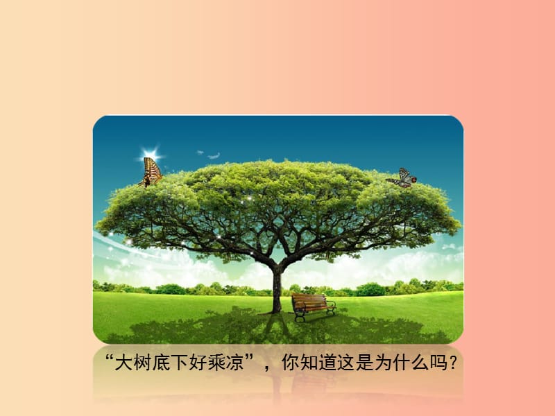 七年级生物上册 2.1.2《绿色植物的蒸腾作用》课件1 （新版）济南版.ppt_第2页