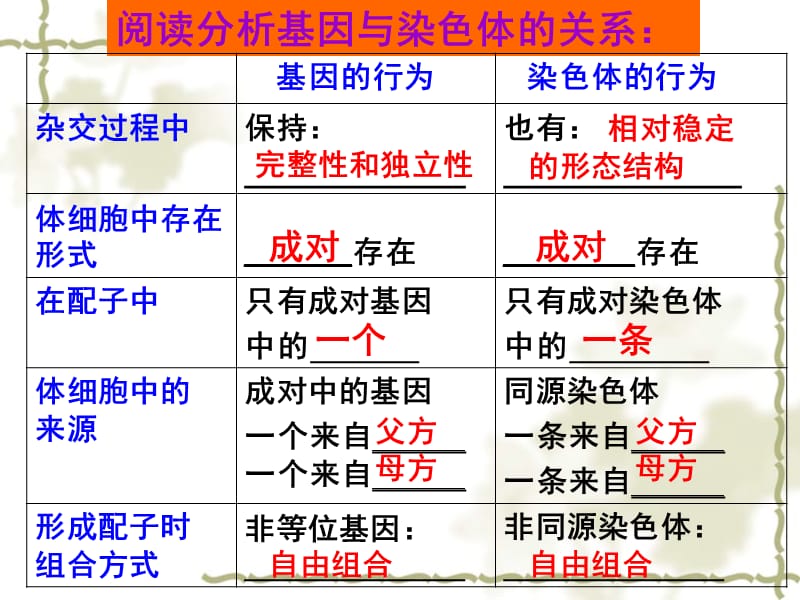 基因、染色体、DNA三者之间的关系.ppt_第2页