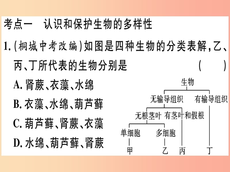 2019春八年级生物下册 专题复习十二 认识和保护生物多样性习题课件（新版）北师大版.ppt_第1页