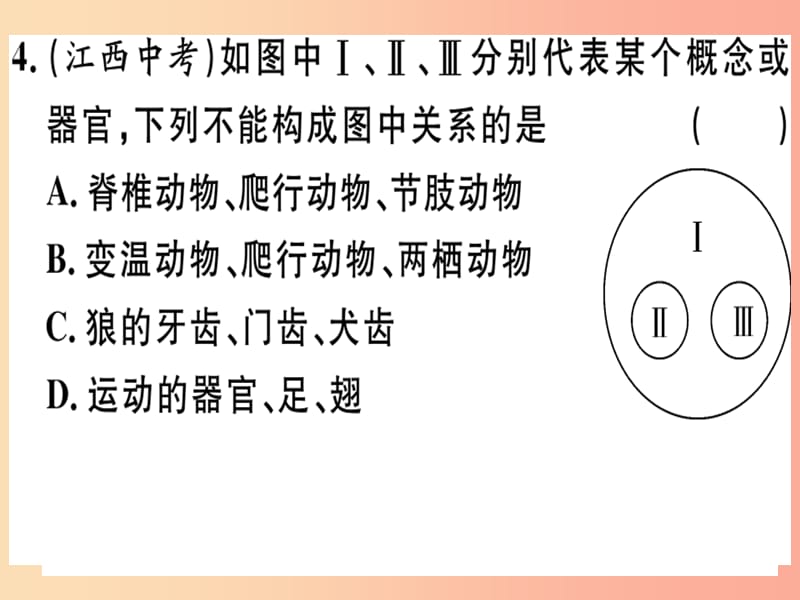 2019春八年级生物下册 专题复习十二 认识和保护生物多样性习题课件（新版）北师大版.ppt_第3页