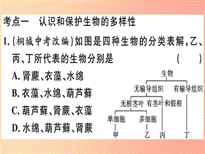 2019春八年級(jí)生物下冊(cè) 專題復(fù)習(xí)十二 認(rèn)識(shí)和保護(hù)生物多樣性習(xí)題課件（新版）北師大版.ppt