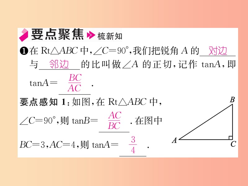 九年级数学上册第23章解直角三角形23.1锐角的三角函数23.1.1锐角的三角函数第1课时正切习题新版沪科版.ppt_第2页