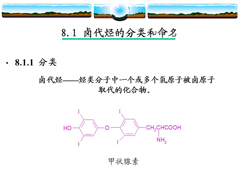 卤代烃及亲核取代反应.ppt_第3页