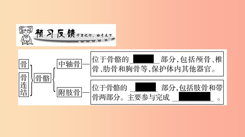 广西省玉林市2019年八年级生物上册 第五单元 第15章 第2节 动物运动的形成（第2课时）课件（新版）北师大版.ppt_第2页