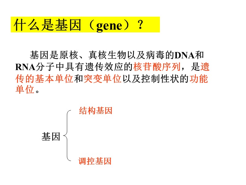 基因的概念及发展.ppt_第2页